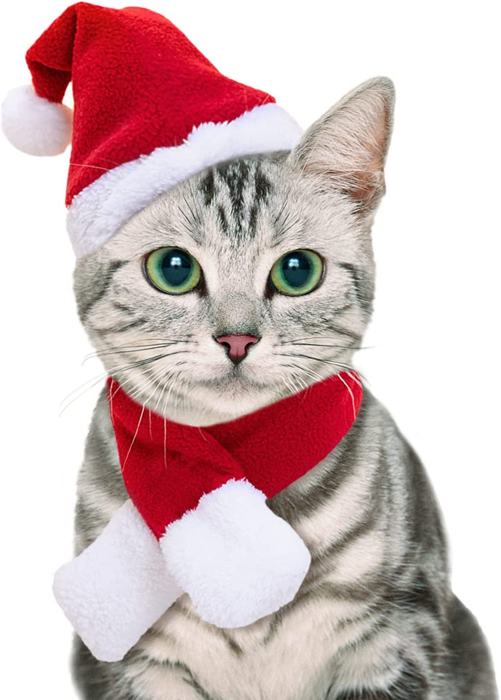 Mini Santa Hat & Scarf Set – Christmas Outfit for Cats, Rabbits & Small Dogs