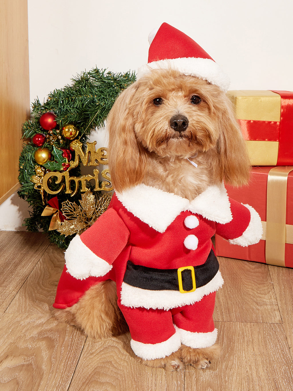 Christmas Pets Santa Costume for Dogs